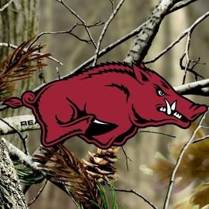 Meet your Posher, Ben